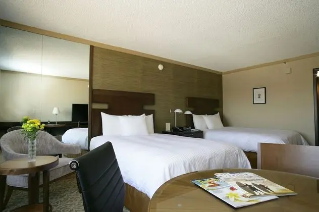 Executive Oda, 2 Çift Kişilik Yatak (Executive Room with Two Double Beds)