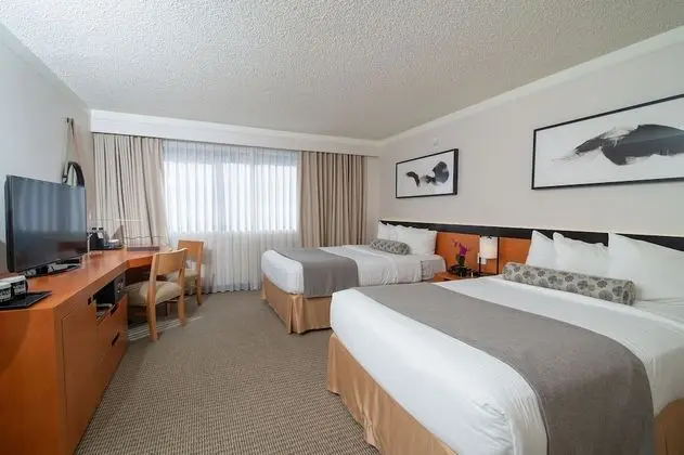 Superior Oda, 2 Çift Kişilik Yatak (Superior Room with 2 Double Beds)