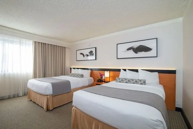 Superior Oda, 2 Çift Kişilik Yatak (Superior Room with 2 Double Beds)