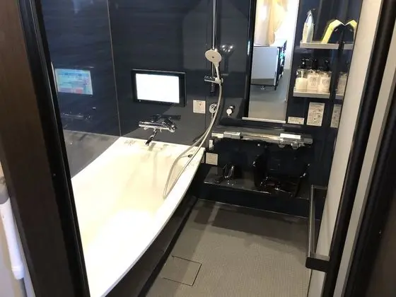 Deluxe Ev