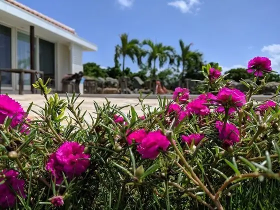 Villa (2-6 Guests, Star Suite)