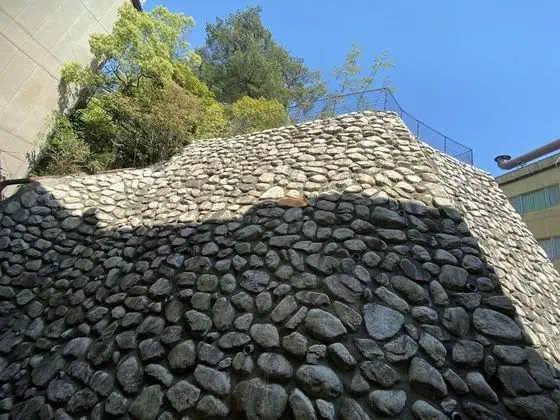 İki Ayrı Yataklı Oda, Sigara İçilmez, Dağ Yamacı