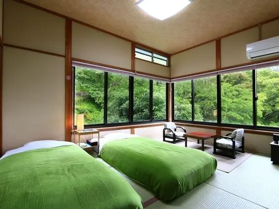 Traditional İki Ayrı Yataklı Oda, Ortak Banyo (2 Single Beds)
