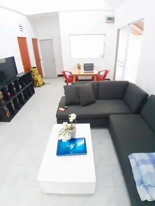 MJ Couch 1or2 Person in my living room