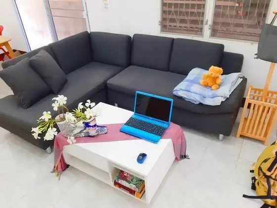 MJ Couch 1or2 Person in my living room
