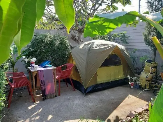 MJ Tent 1or2 Person on my Yard