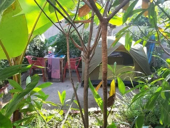 MJ Tent 1or2 Person on my Yard