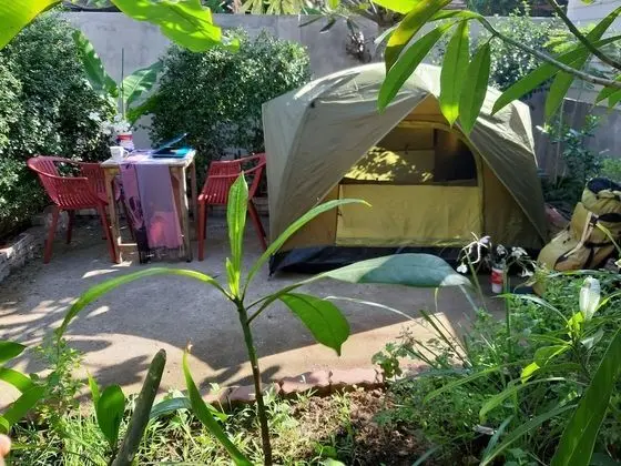 MJ Tent 1or2 Person on my Yard