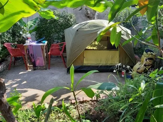 MJ Tent 1or2 Person on my Yard