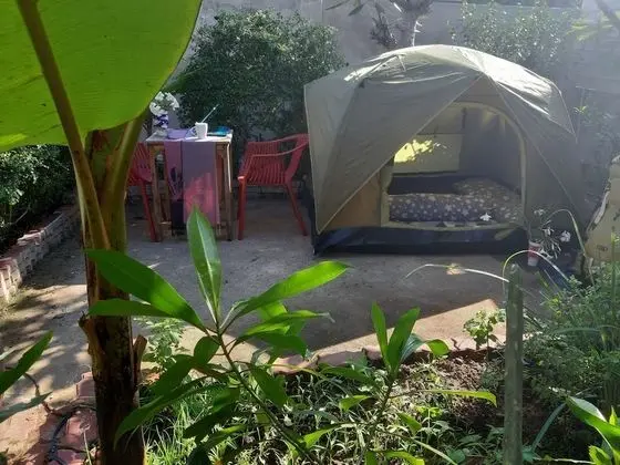 MJ Tent 1or2 Person on my Yard