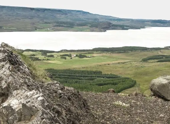 Basic Tek Kişilik Oda, Ortak Banyo