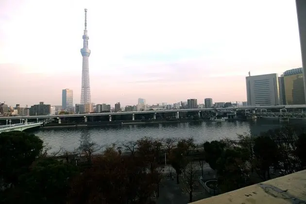 Standard Tek Büyük Yataklı Oda (Skytree View)