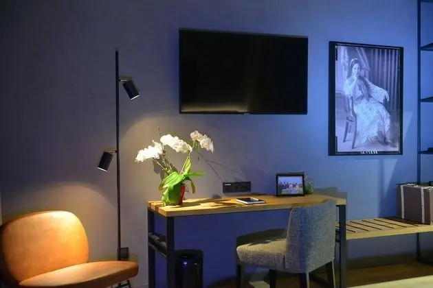 Deluxe Tek Büyük Yataklı Oda