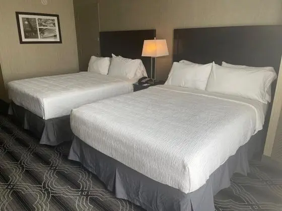 Standard Tek Büyük Yataklı Oda, 2 Büyük (Queen) Boy Yatak