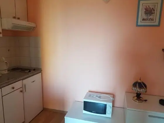 Apart Daire (Mlad - 650 m from sea - A2(2+1))