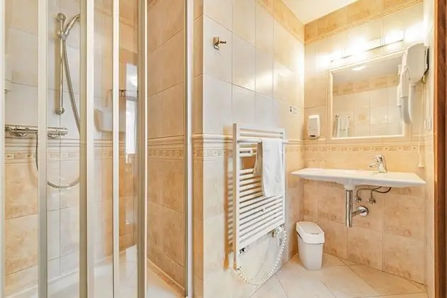 Standard Tek Büyük Yataklı Oda (1h spa access)