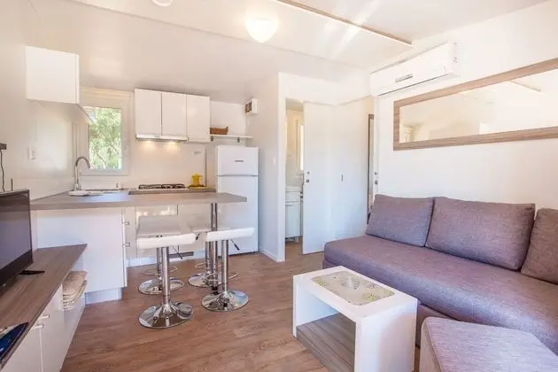 Standard Karavan