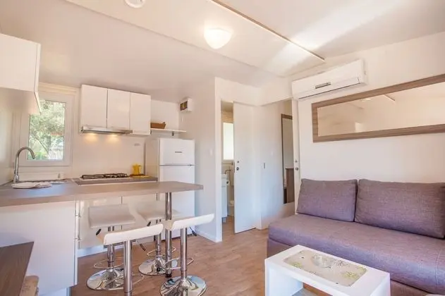 Standard Karavan