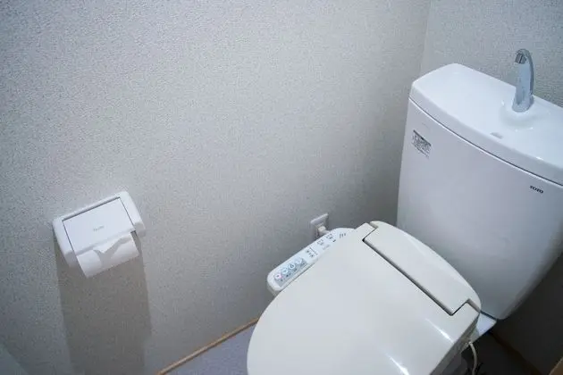 Ev