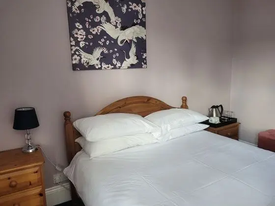 Standard Tek Büyük Yataklı Oda, Banyolu/Duşlu (ROOM 2)