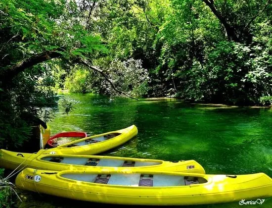 Apart Daire, Birden Çok Yatak
