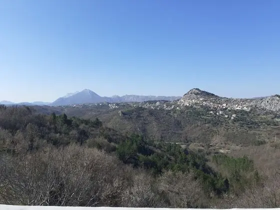 Apart Daire, Birden Çok Yatak