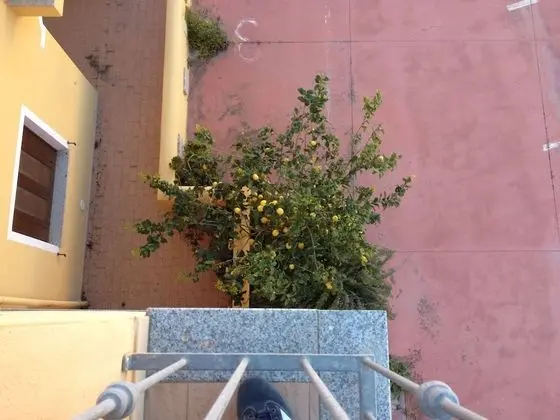 Apart Daire, 1 Yatak Odası, Balkon