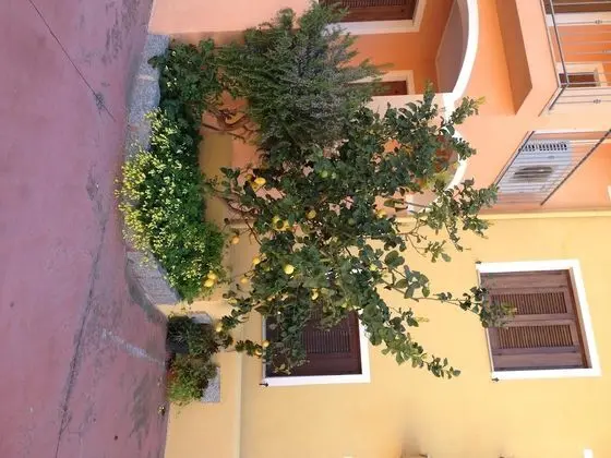 Apart Daire, 1 Yatak Odası, Balkon