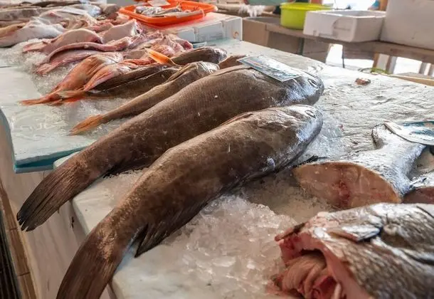 Ev, Birden Çok Yatak