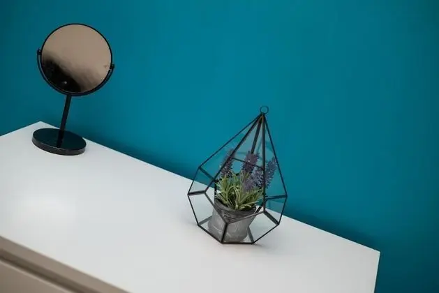 Ev