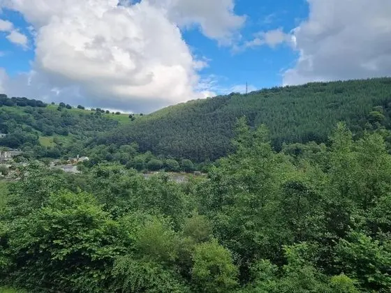 Ev, Birden Çok Yatak