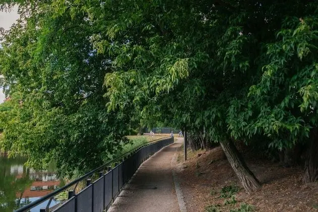 Superior Apart Daire