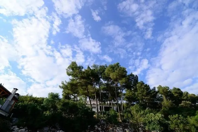 Ev, Birden Çok Yatak