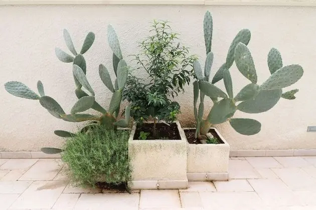 Ev, 1 Yatak Odası, Balkon