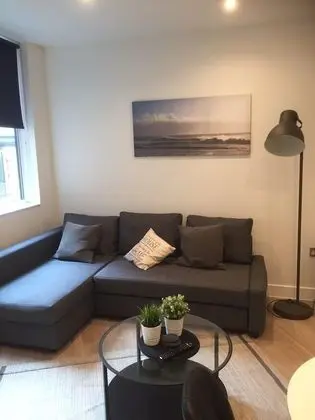 Apart Daire, 1 Yatak Odası