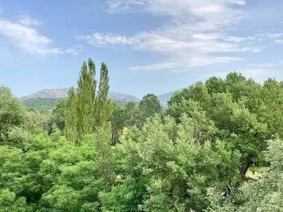 Apart Daire, 1 Büyük (Queen) Boy Yatak