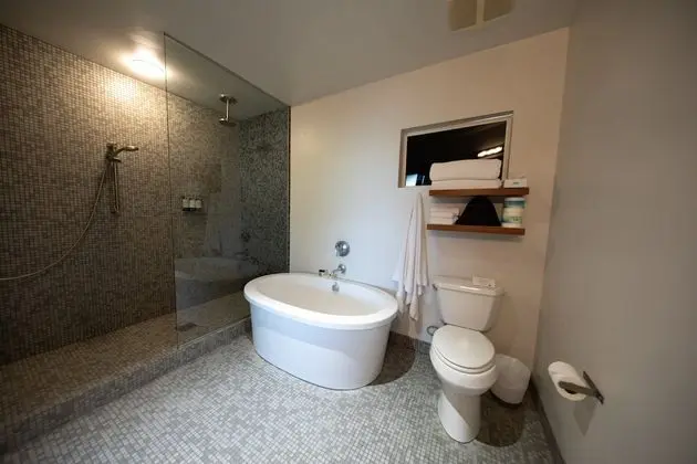 Design Süit, 1 Yatak Odası, Küvet