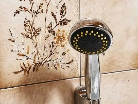 Ev