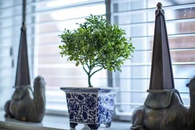 Luxury Ev, Özel Banyo (Modern)