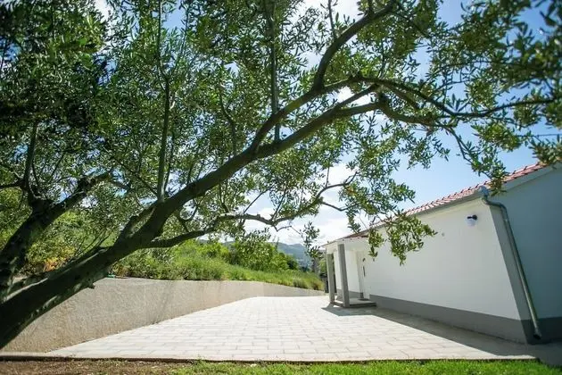 Ev, 1 Büyük (Queen) Boy Yatak ve Çekyat