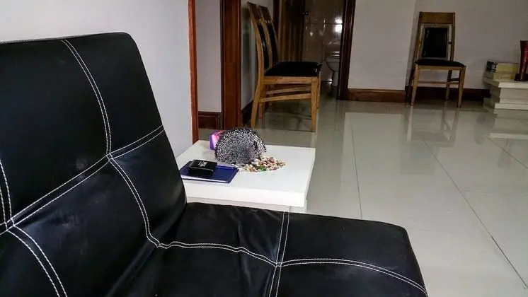 Exclusive Apart Daire, 2 Yatak Odası, Havuz Kullanımı, Dağ Manzaralı