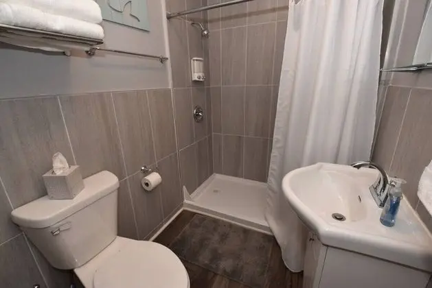 Apart Daire (Modern Meets Vintage! Renovated 1 BR )