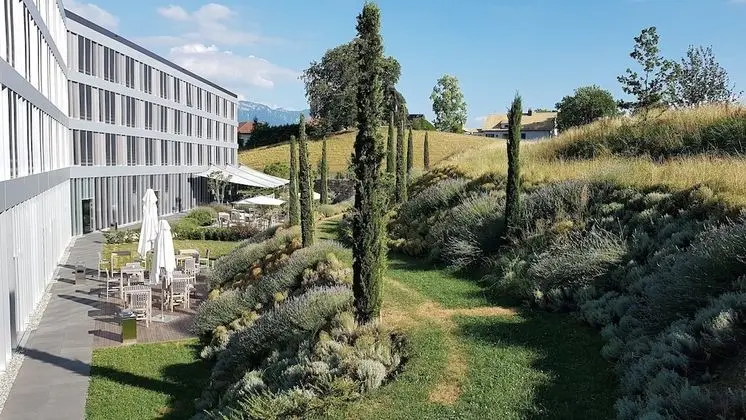Tek Büyük veya İki Ayrı Yataklı Oda, Bahçe Manzaralı (Modern Room Garden View)