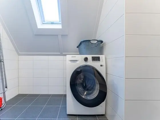 Ev