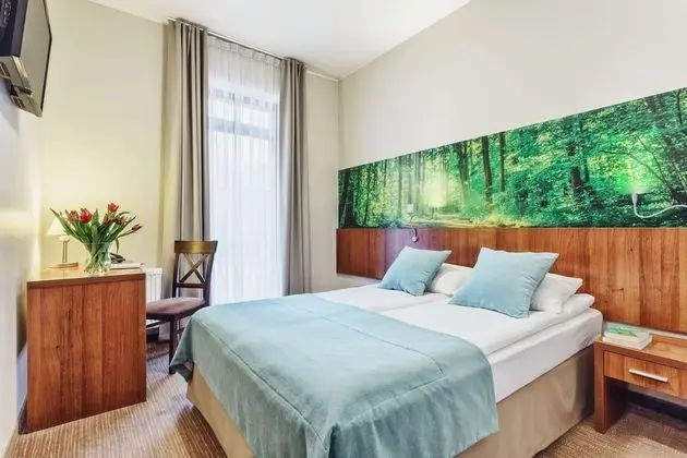 Comfort Tek Büyük Yataklı Oda, 1 Çift Kişilik Yatak