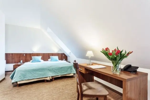 Comfort Tek Büyük Yataklı Oda, 1 Çift Kişilik Yatak