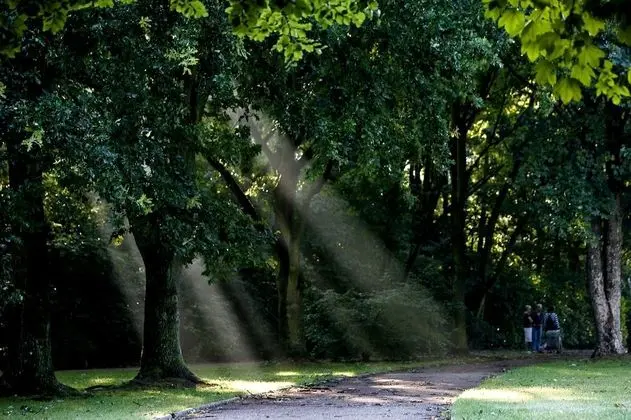 Comfort Tek Büyük Yataklı Oda (Plus)