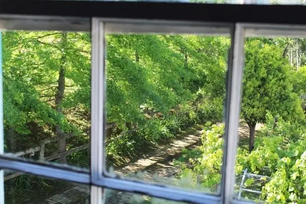 Classic Tek Büyük Yataklı Oda, 1 Çift Kişilik Yatak, Bahçe Manzaralı