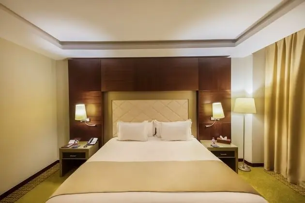 Premium Tek Büyük Yataklı Oda, Şehir Manzaralı