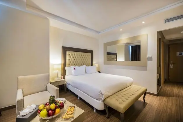 Premium Tek Büyük Yataklı Oda, Şehir Manzaralı